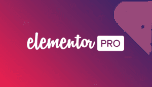Elementor Pro - The Most Advanced Website Builder Plugin